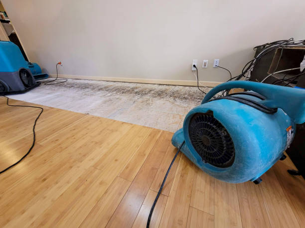 Professional Water Extraction technician working in Fillmore, CA